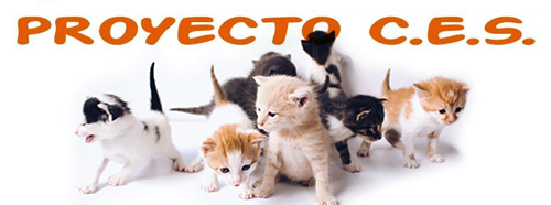 Proyecto C.E.S.